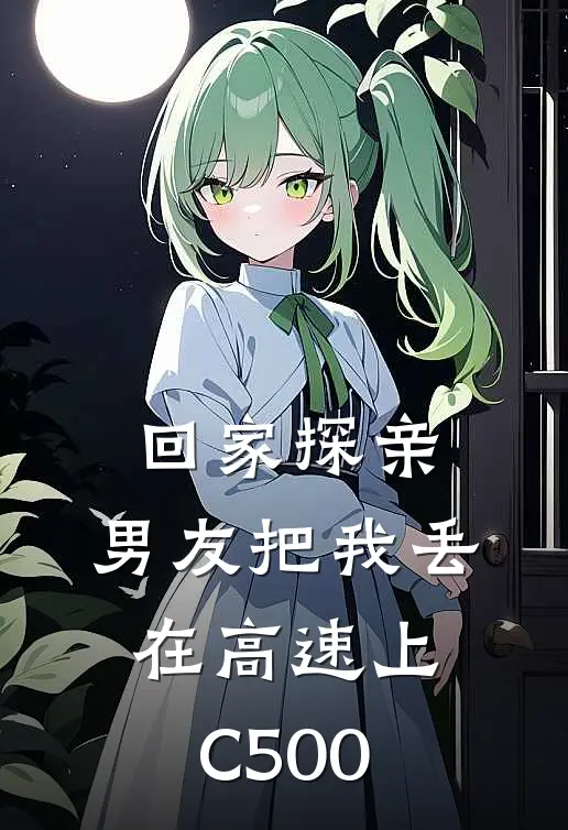 回家探亲，男友把我丢在高速上C500